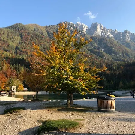 Apartments Vita Appartamento Kranjska Gora