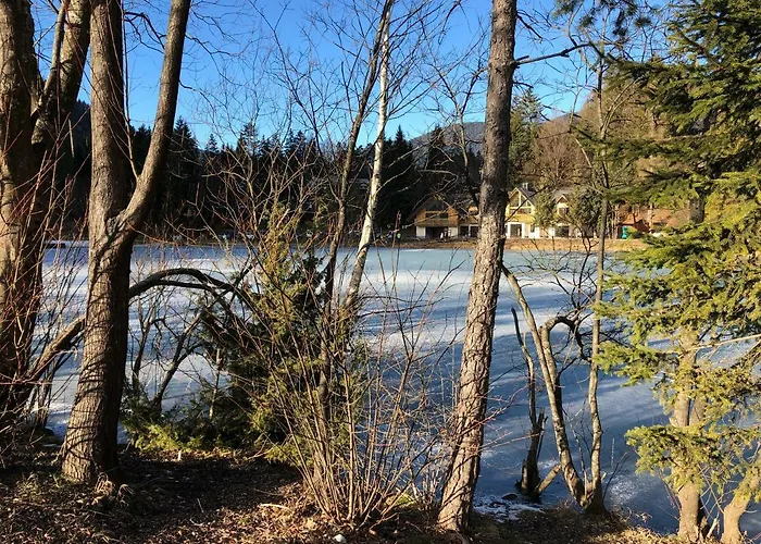 Apartments Vita Daire