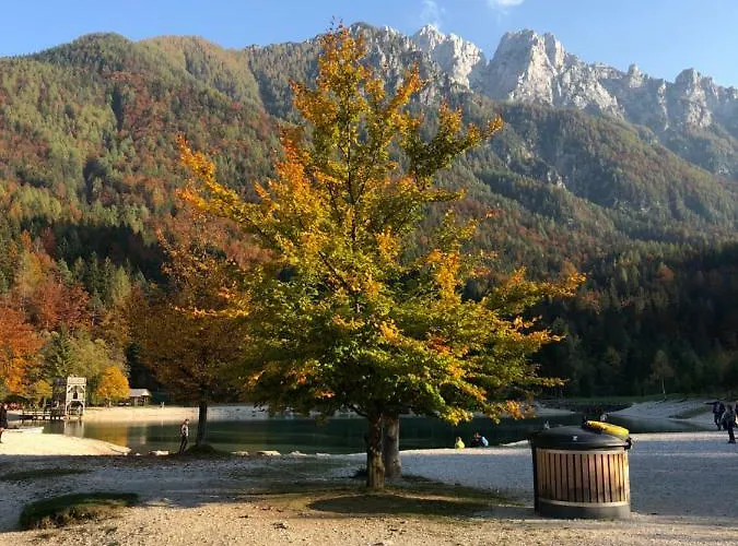 Apartments Vita Daire Kranjska Gora